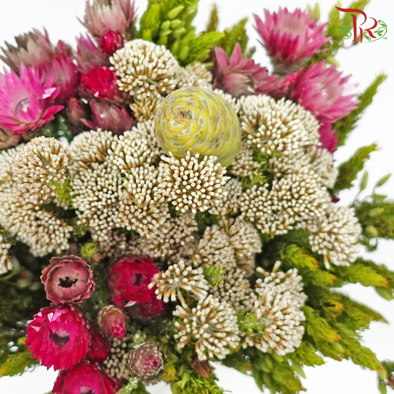 Safari Cape Cone Mix Bouquet - #17 (Per Bunch) **Random Choose Cone/Fillers-Africa-prflorist.com.my