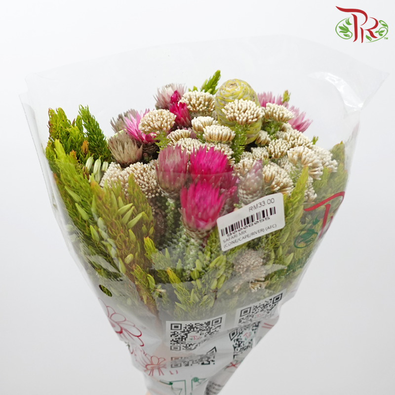 Safari Cape Cone Mix Bouquet - #17 (Per Bunch) **Random Choose Cone/Fillers-Africa-prflorist.com.my