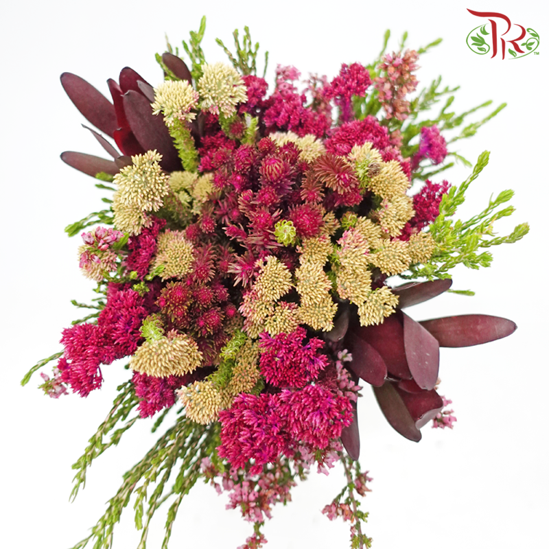 Safari Cape Cone Mix Bouquet - #18 (Per Bunch) **Random Choose Cone/Fillers-Africa-prflorist.com.my