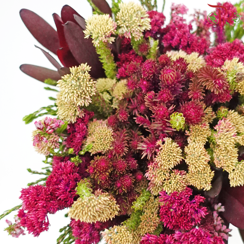 Safari Cape Cone Mix Bouquet - #18 (Per Bunch) **Random Choose Cone/Fillers-Africa-prflorist.com.my