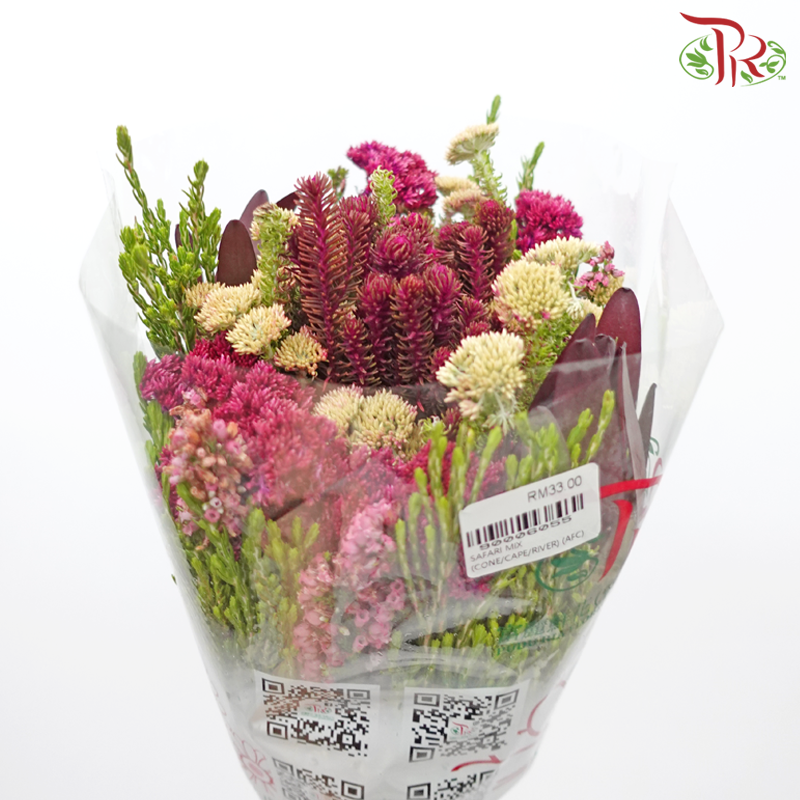 Safari Cape Cone Mix Bouquet - #18 (Per Bunch) **Random Choose Cone/Fillers-Africa-prflorist.com.my