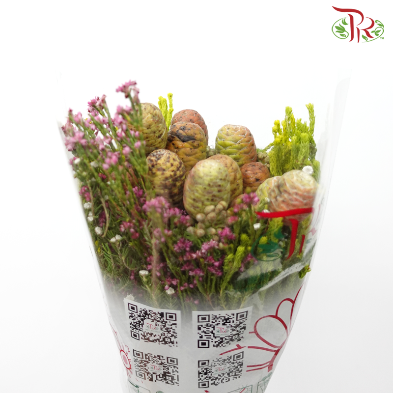 Safari Cape Cone Mix Bouquet - #19 (Per Bunch) **Random Choose Cone/Fillers-Africa-prflorist.com.my