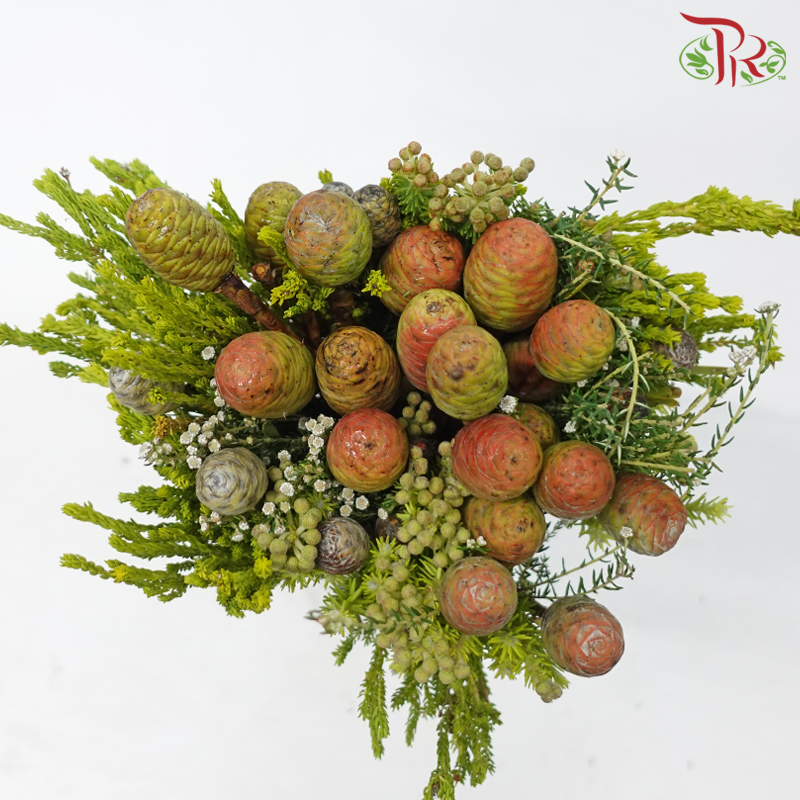 Safari Cape Cone Mix Bouquet - #20 (Per Bunch) **Random Choose Cone/Fillers-Africa-prflorist.com.my