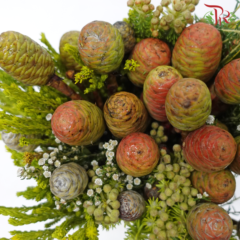 Safari Cape Cone Mix Bouquet - #20 (Per Bunch) **Random Choose Cone/Fillers-Africa-prflorist.com.my