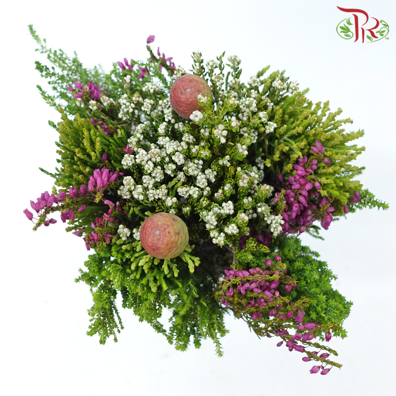 Safari Cape Cone Mix Bouquet - #21 (Per Bunch) **Random Choose Cone/Fillers-Africa-prflorist.com.my