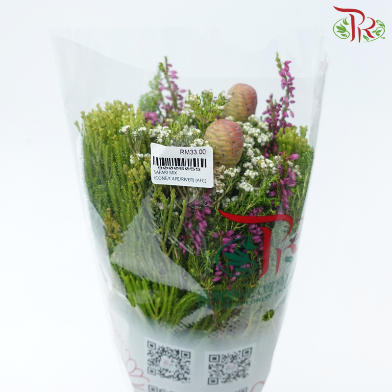 Safari Cape Cone Mix Bouquet - #21 (Per Bunch) **Random Choose Cone/Fillers-Africa-prflorist.com.my