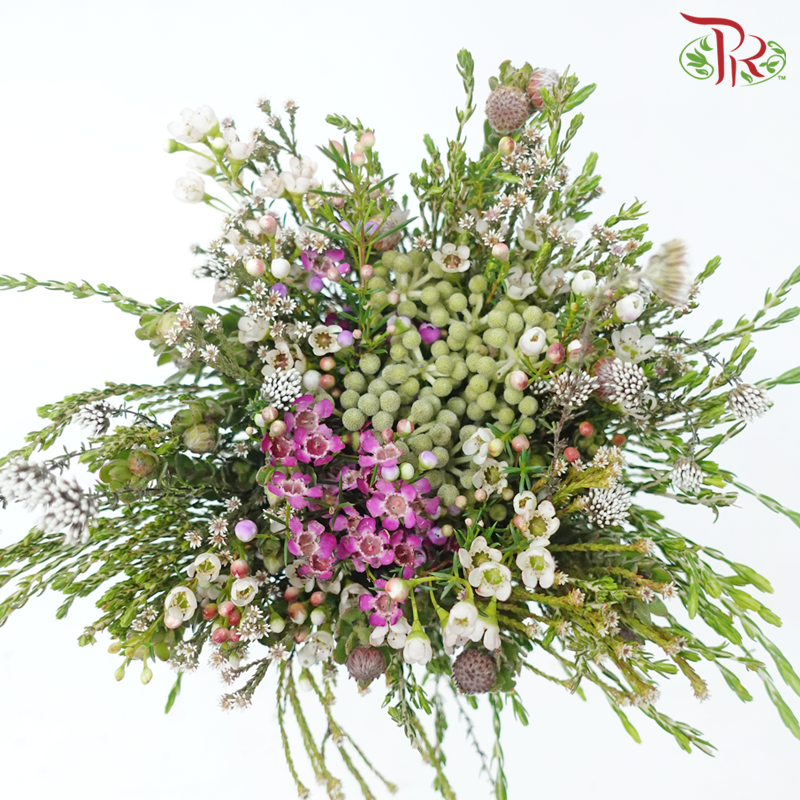 Safari Cape Cone Mix Bouquet - #22 (Per Bunch) **Random Choose Cone/Fillers-Africa-prflorist.com.my