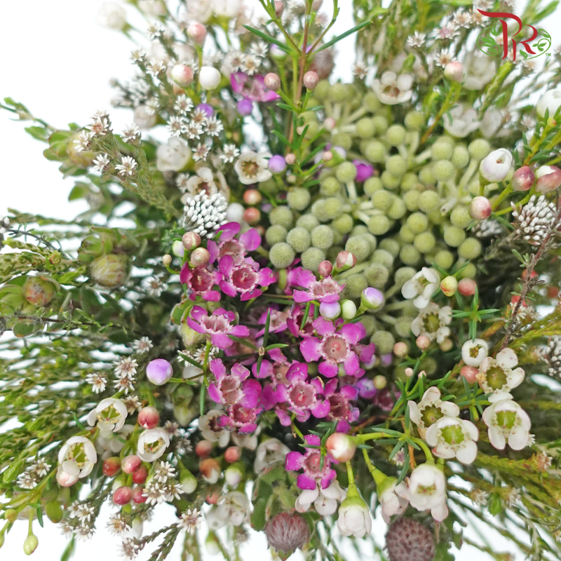 Safari Cape Cone Mix Bouquet - #22 (Per Bunch) **Random Choose Cone/Fillers-Africa-prflorist.com.my