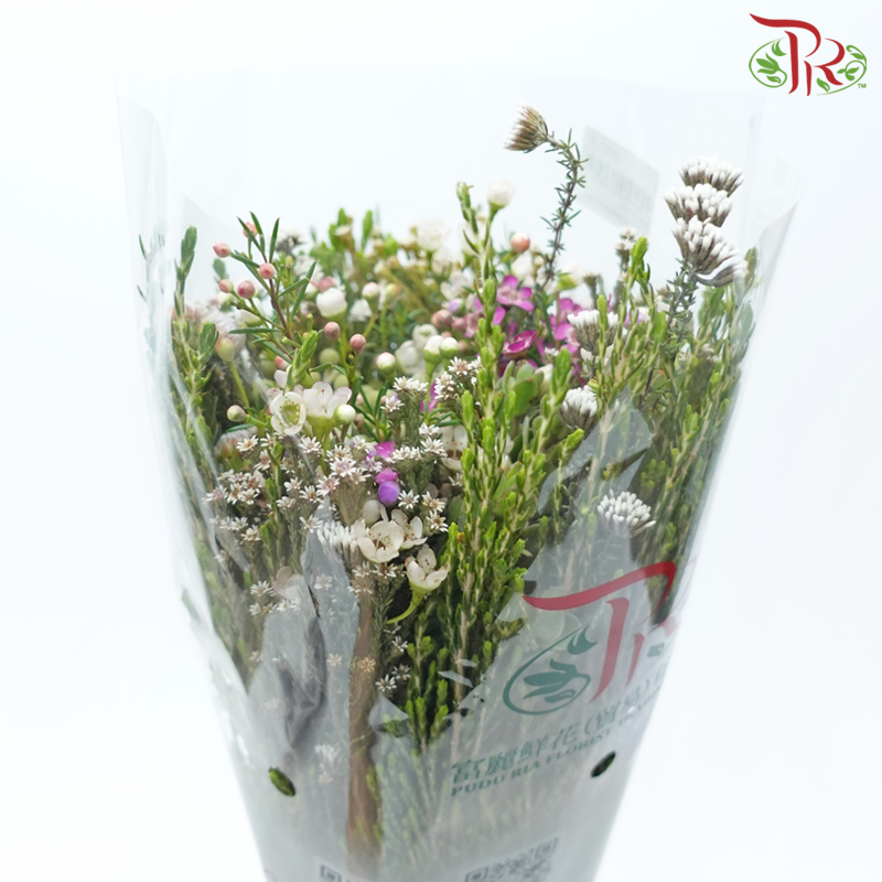 Safari Cape Cone Mix Bouquet - #22 (Per Bunch) **Random Choose Cone/Fillers-Africa-prflorist.com.my