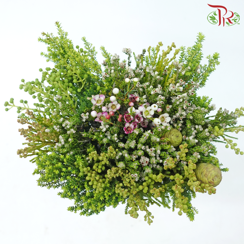 Safari Cape Cone Mix Bouquet - #23 (Per Bunch) **Random Choose Cone/Fillers-Africa-prflorist.com.my