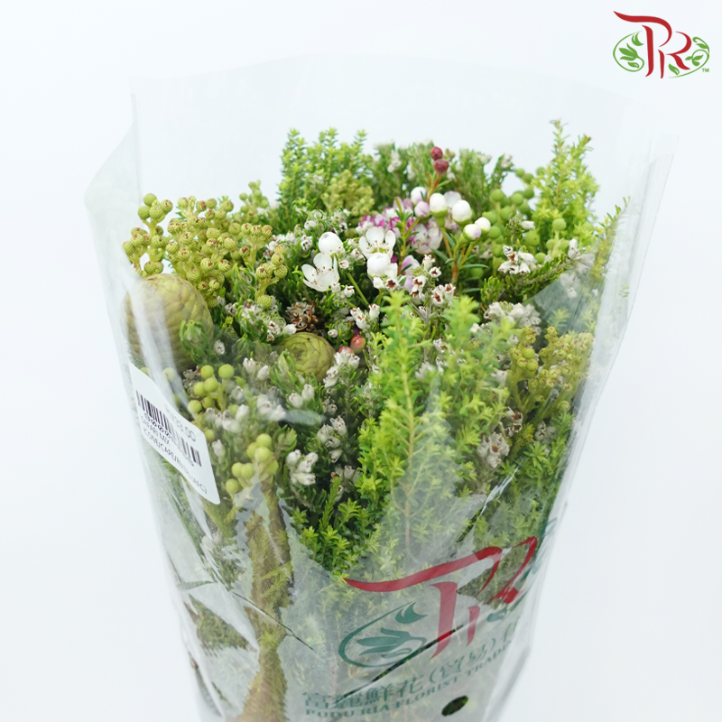 Safari Cape Cone Mix Bouquet - #23 (Per Bunch) **Random Choose Cone/Fillers-Africa-prflorist.com.my