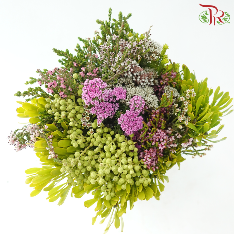 Safari Cape Cone Mix Bouquet - #25 (Per Bunch) **Random Choose Cone/Fillers-Africa-prflorist.com.my