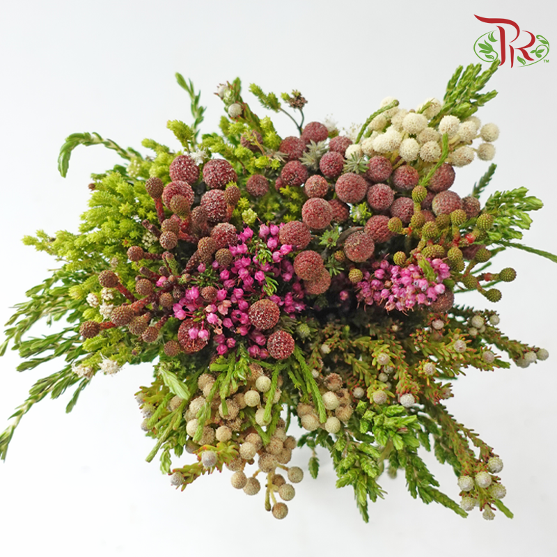 Safari Cape Cone Mix Bouquet - #25 (Per Bunch) **Random Choose Cone/Fillers-Africa-prflorist.com.my