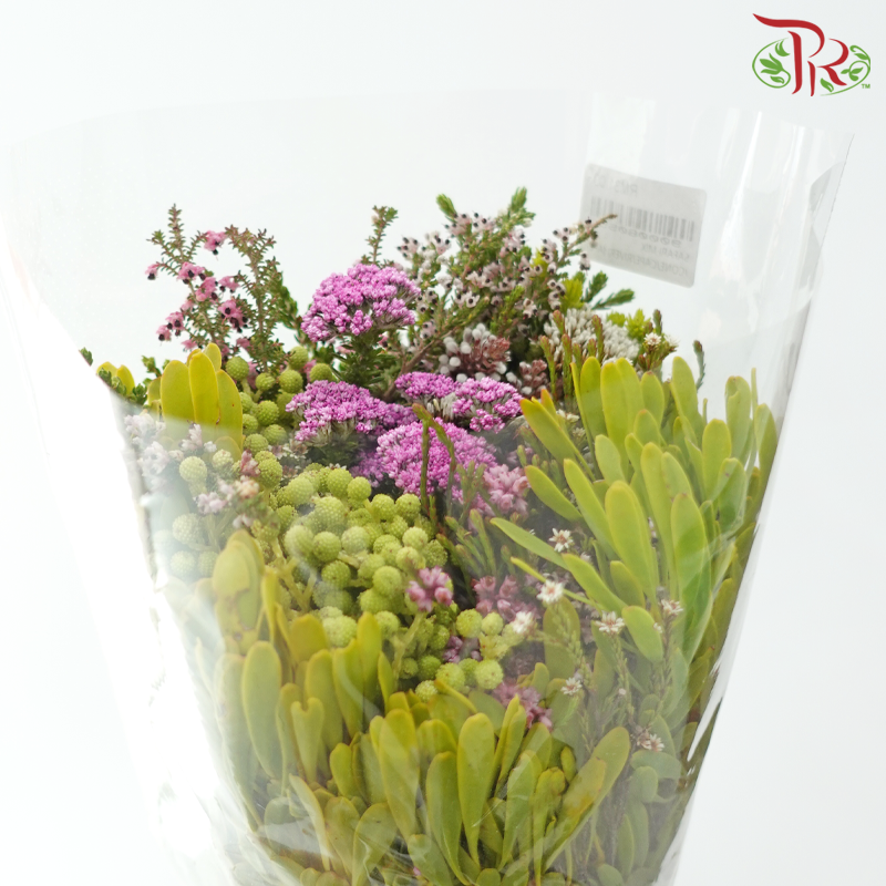 Safari Cape Cone Mix Bouquet - #25 (Per Bunch) **Random Choose Cone/Fillers-Africa-prflorist.com.my