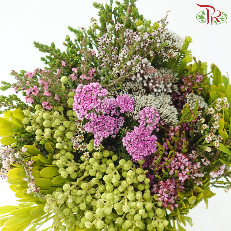 Safari Cape Cone Mix Bouquet - #25 (Per Bunch) **Random Choose Cone/Fillers-Africa-prflorist.com.my