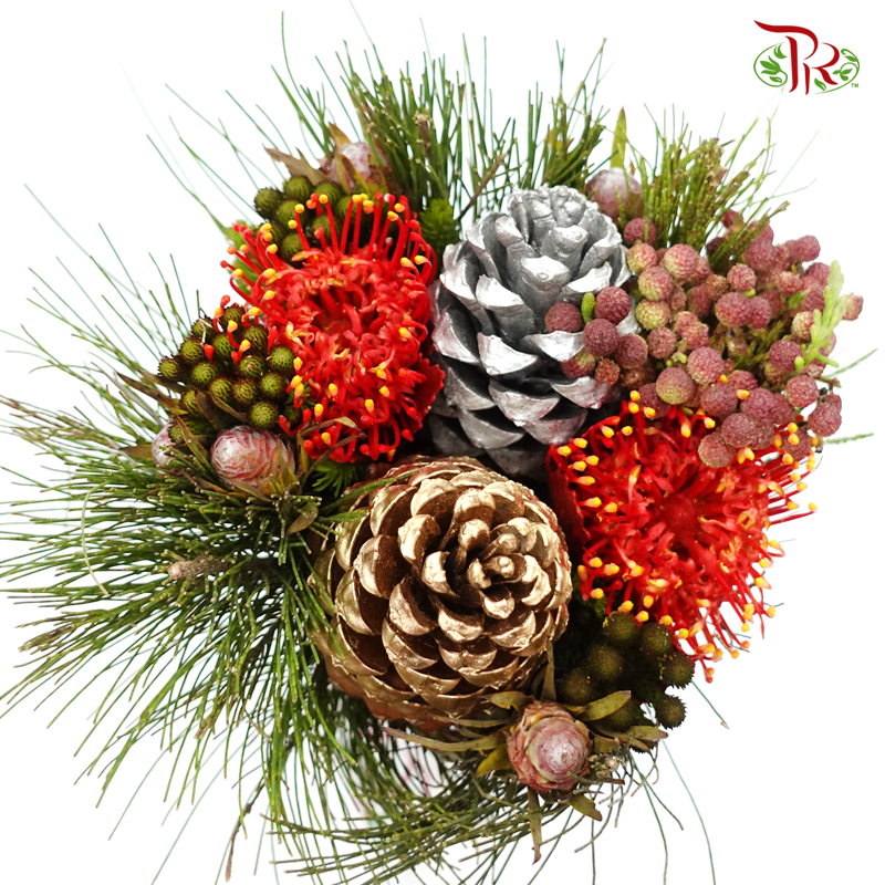Safari Christmas Bouquet - (Per Bunch) **Random Choose Cone/Fillers-Africa-prflorist.com.my