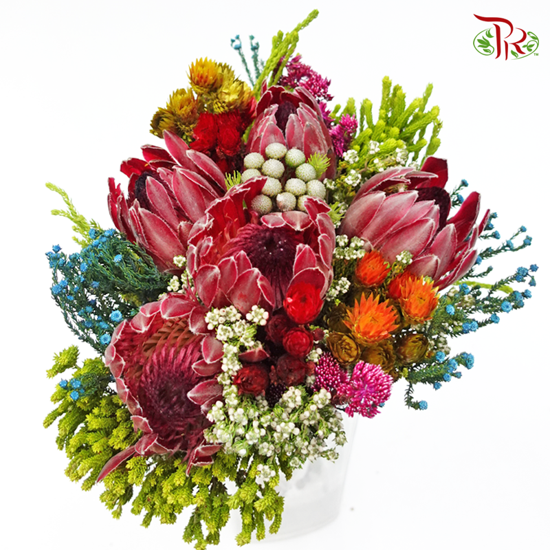 Safari Jumbo Bouquet - 1 (Per Bunch)-Africa-prflorist.com.my