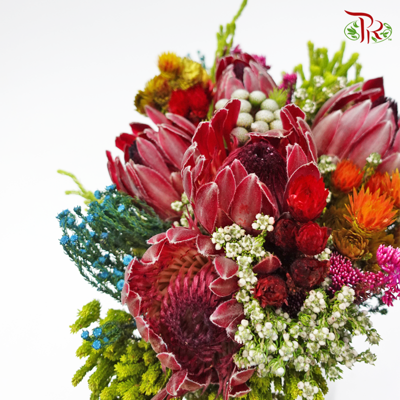 Safari Jumbo Bouquet - 1 (Per Bunch)-Africa-prflorist.com.my