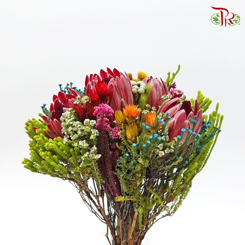 Safari Jumbo Bouquet - 1 (Per Bunch)-Africa-prflorist.com.my