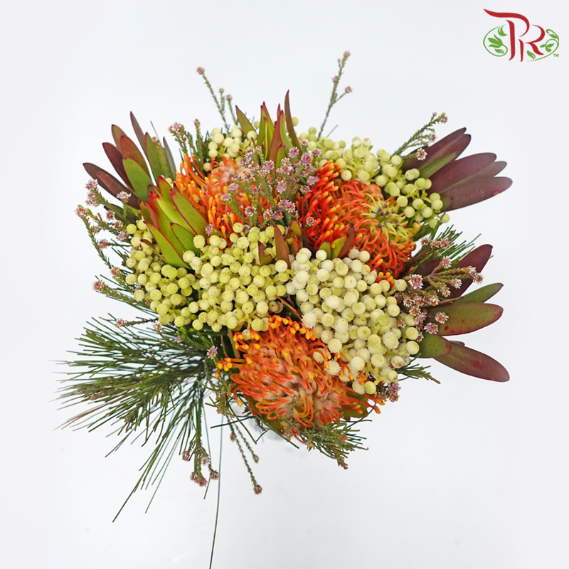 Safari Leucospermum Bouquet - Orange (Per Bunch)-Orange-Africa-prflorist.com.my