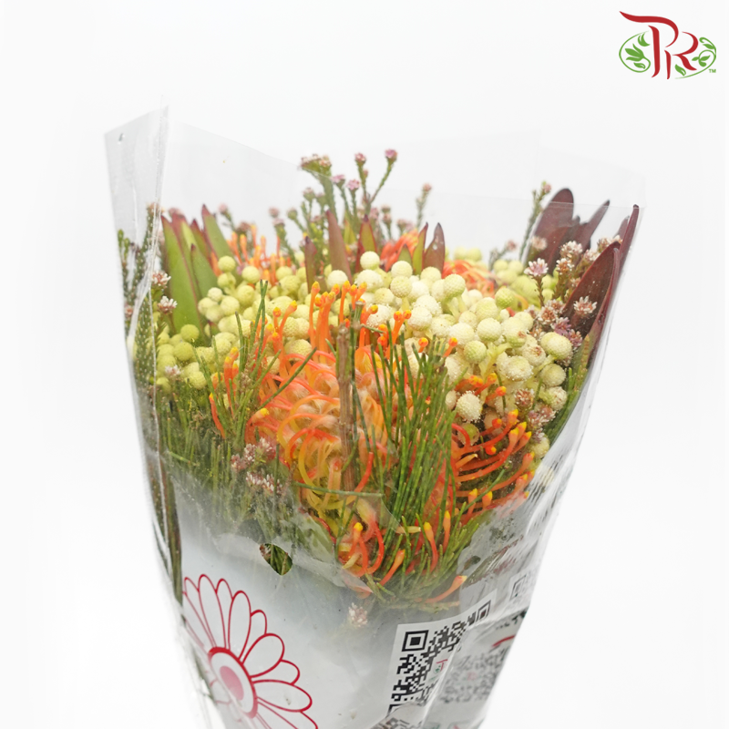 Safari Leucospermum Bouquet - Orange (Per Bunch)-Orange-Africa-prflorist.com.my