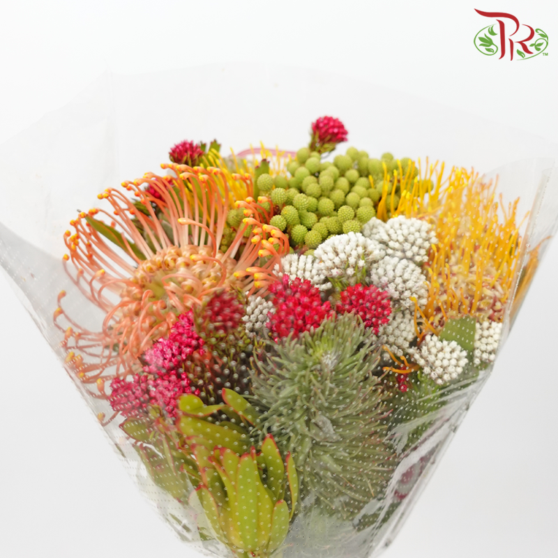 Safari Leucospermum Bouquet **Random Choose Cone/Fillers