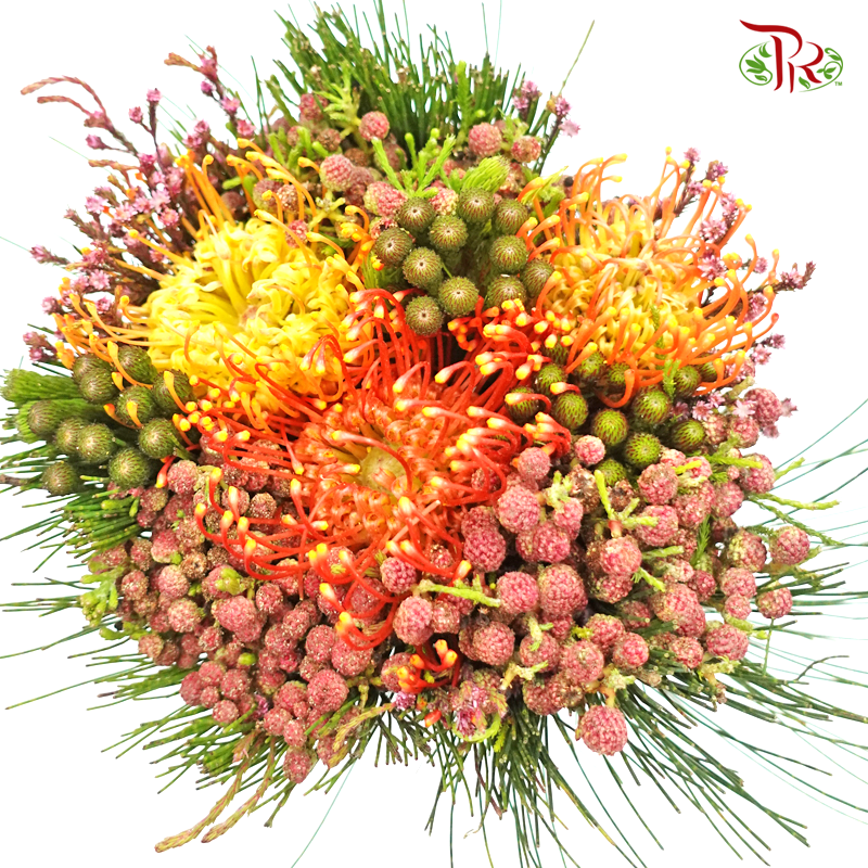 Safari Leucospermum Bouquet - (Per Bunch) **Random Choose Cone/Fillers-Africa-prflorist.com.my