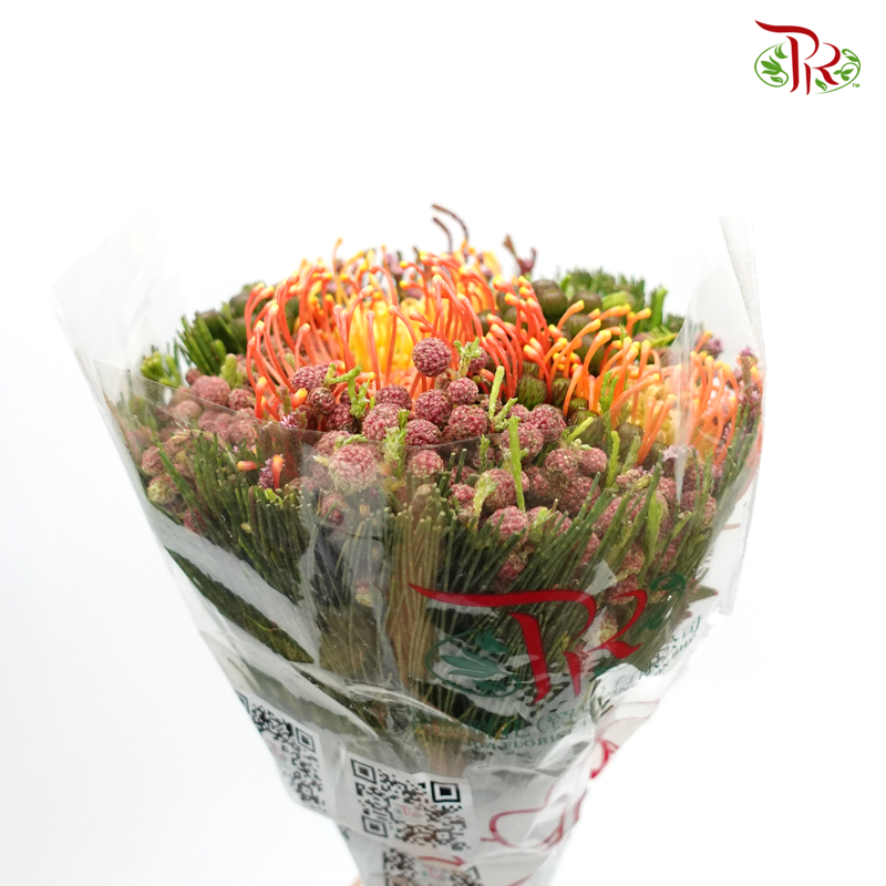 Safari Leucospermum Bouquet - (Per Bunch) **Random Choose Cone/Fillers-Africa-prflorist.com.my