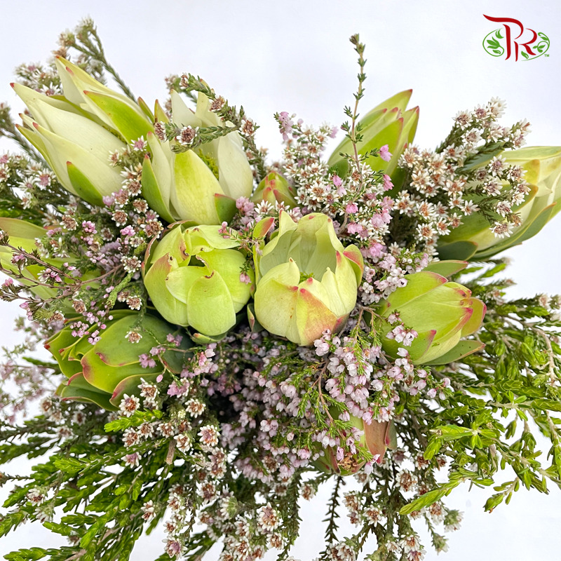 Safari Meadow Bouquet White / Green - (Per Bunch) **Random Choose Cone/Fillers-Cream-Africa-prflorist.com.my