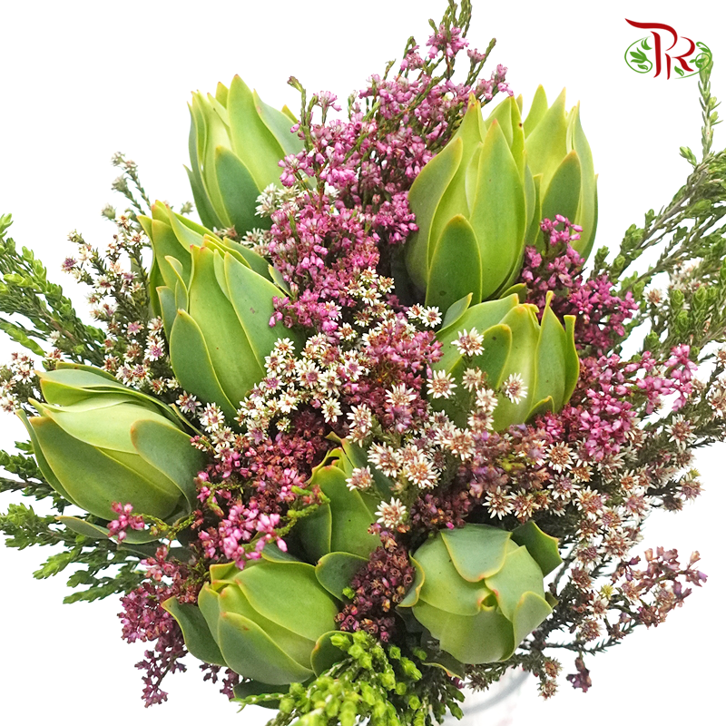 Safari Meadow Bouquet White / Green - (Per Bunch) **Random Choose Cone/Fillers-Cream-Africa-prflorist.com.my