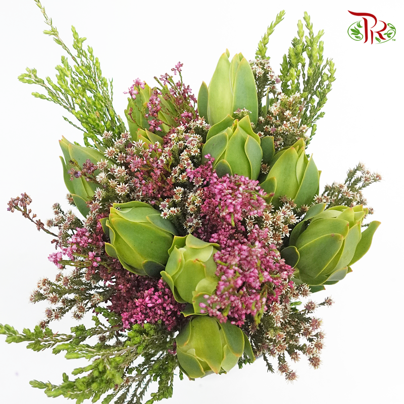 Safari Meadow Bouquet White / Green - (Per Bunch) **Random Choose Cone/Fillers-Cream-Africa-prflorist.com.my