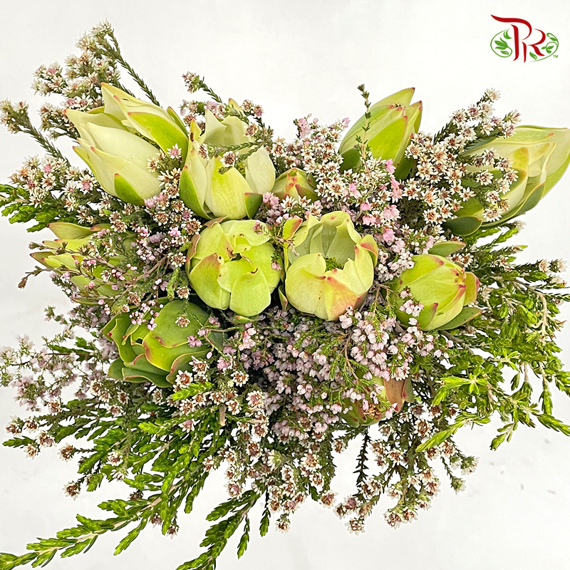 Safari Meadow Bouquet White / Green - (Per Bunch) **Random Choose Cone/Fillers-Cream-Africa-prflorist.com.my