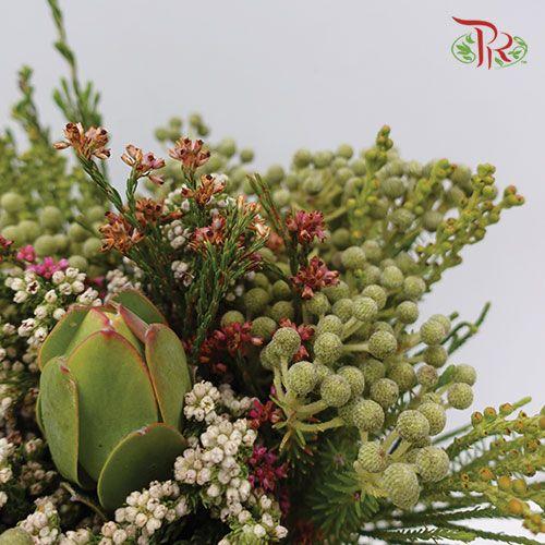 Safari Mix 1 - (Per Bunch)-Green-Africa-prflorist.com.my