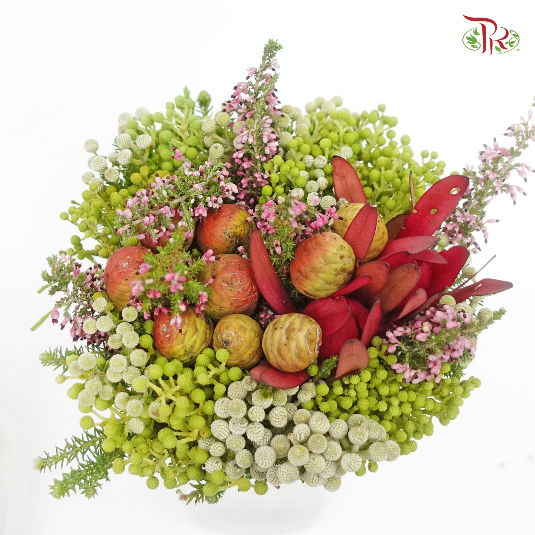 Safari Mix (cone/cape) - #10 (Per Bunch) **Random Choose Cone/Fillers-Africa-prflorist.com.my