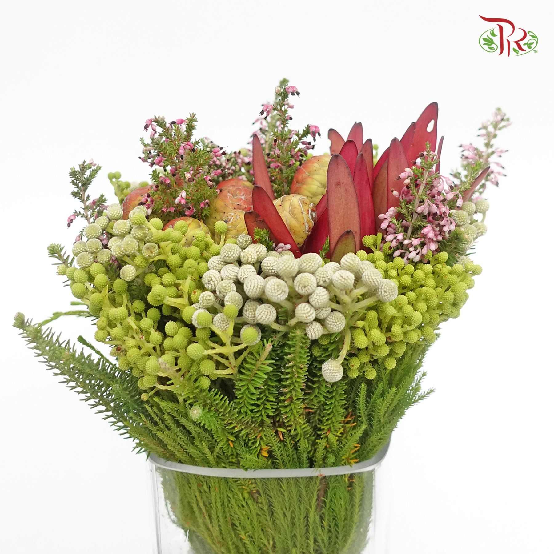 Safari Mix (cone/cape) - #10 (Per Bunch) **Random Choose Cone/Fillers-Africa-prflorist.com.my