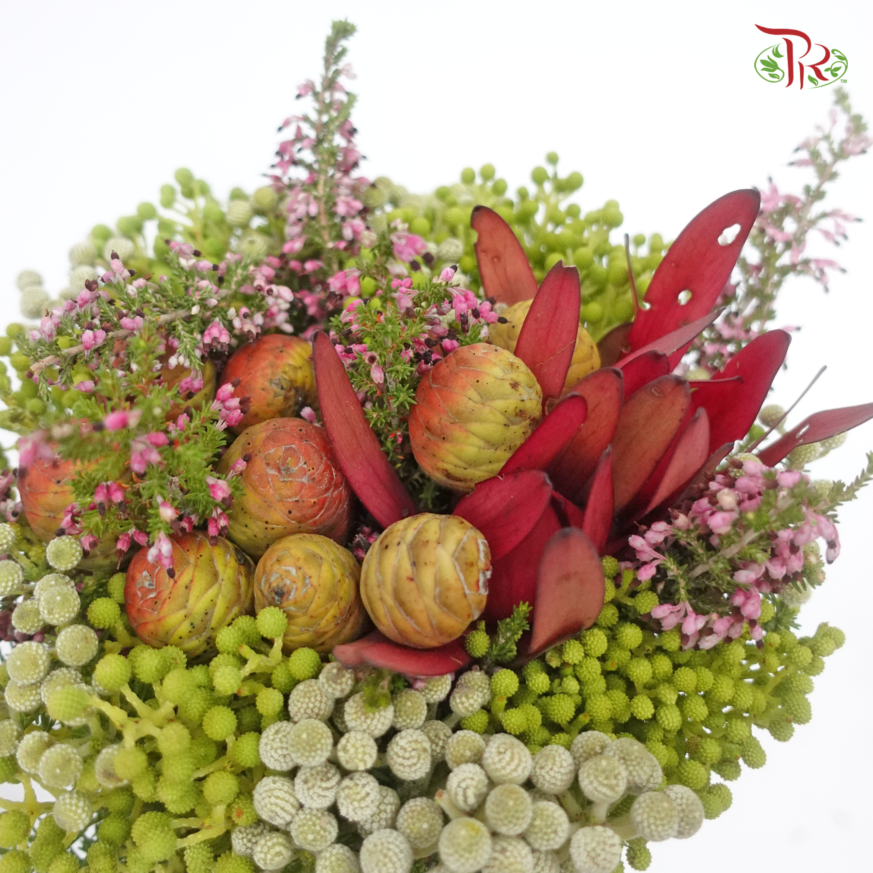 Safari Mix (cone/cape) - #10 (Per Bunch) **Random Choose Cone/Fillers-Africa-prflorist.com.my