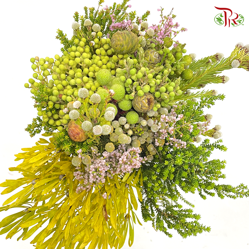 Safari Mix (cone/cape) - #11 (Per Bunch) **Random Choose Cone/Fillers-Africa-prflorist.com.my