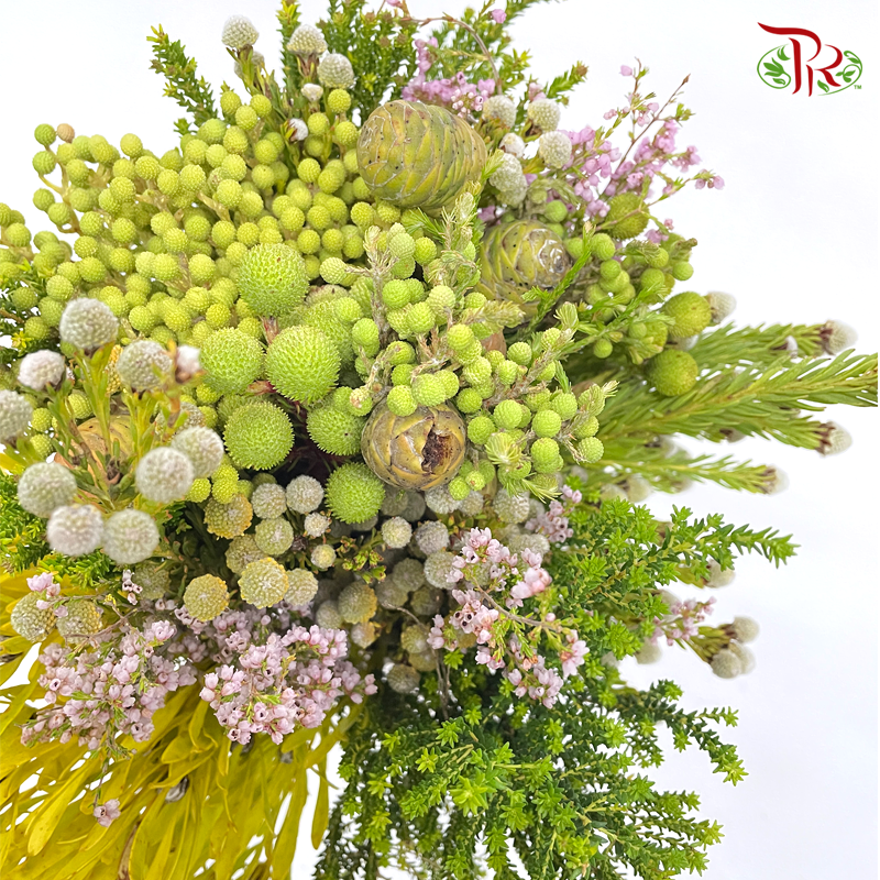 Safari Mix (cone/cape) - #11 (Per Bunch) **Random Choose Cone/Fillers-Africa-prflorist.com.my