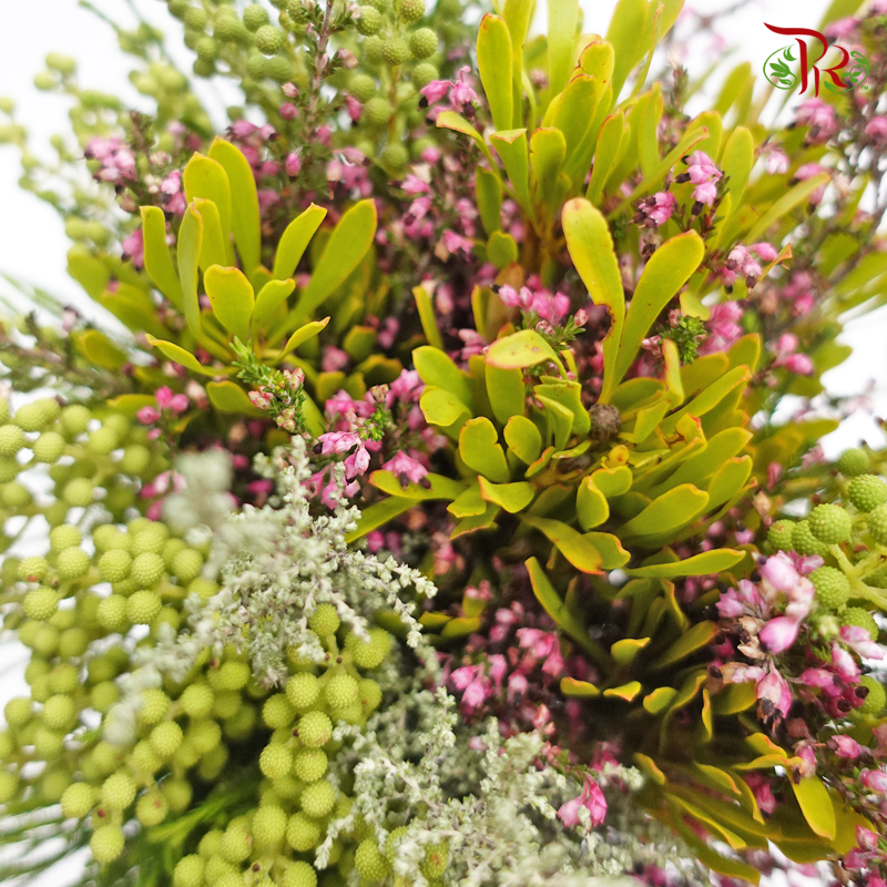 Safari Mix (Cone/Cape) - #15 (Per Bunch) **Random Choose Cone/Fillers-Africa-prflorist.com.my