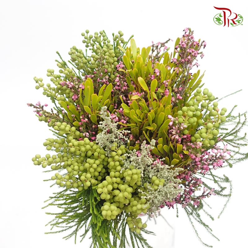 Safari Mix (Cone/Cape) - #15 (Per Bunch) **Random Choose Cone/Fillers-Africa-prflorist.com.my