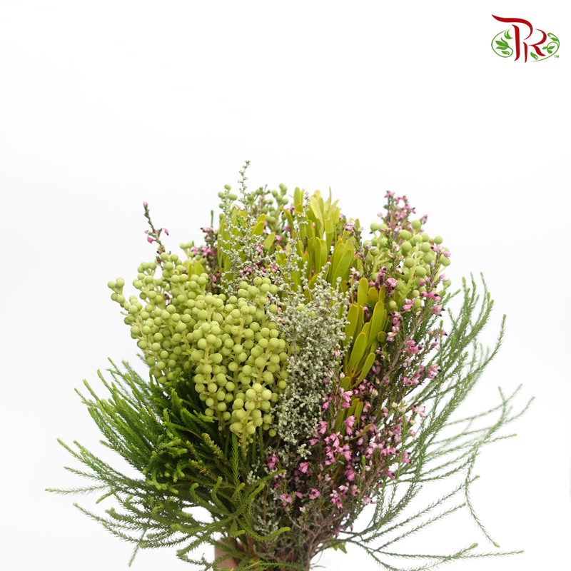 Safari Mix (Cone/Cape) - #15 (Per Bunch) **Random Choose Cone/Fillers-Africa-prflorist.com.my