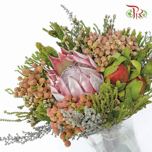Safari Mix (Cone/Cape) - #3 (Per Bunch) **Random Choose Cone/Fillers-Pink-Africa-prflorist.com.my
