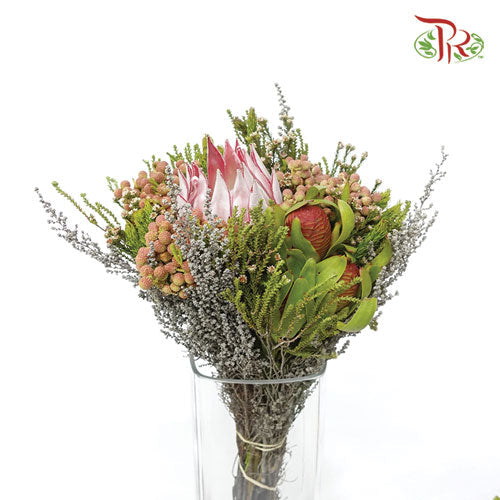 Safari Mix (Cone / Cape) **Random Choose Cone/Fillers