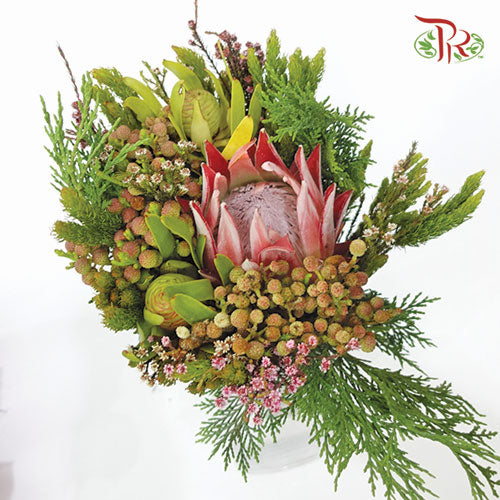 Safari Mix (Cone/Cape) - #4 (Per Bunch) **Random Choose Cone/Fillers-Green-Africa-prflorist.com.my