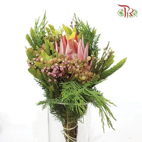 Safari Mix (Cone/Cape) - #4 (Per Bunch) **Random Choose Cone/Fillers-Green-Africa-prflorist.com.my