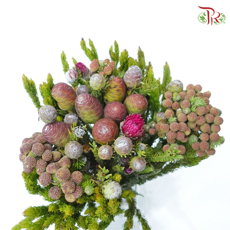 Safari Mix (Cone/Cape) - #5 (Per Bunch) **Random Choose Cone/Fillers-Africa-prflorist.com.my
