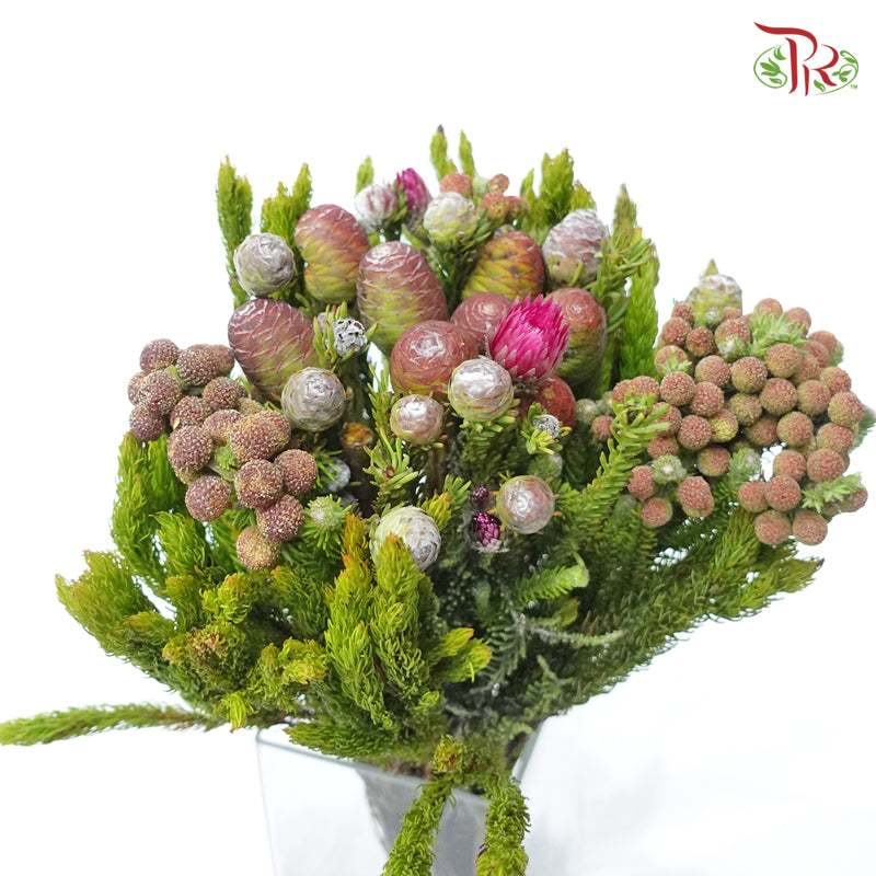 Safari Mix (Cone / Cape) **Random Choose Cone/Fillers