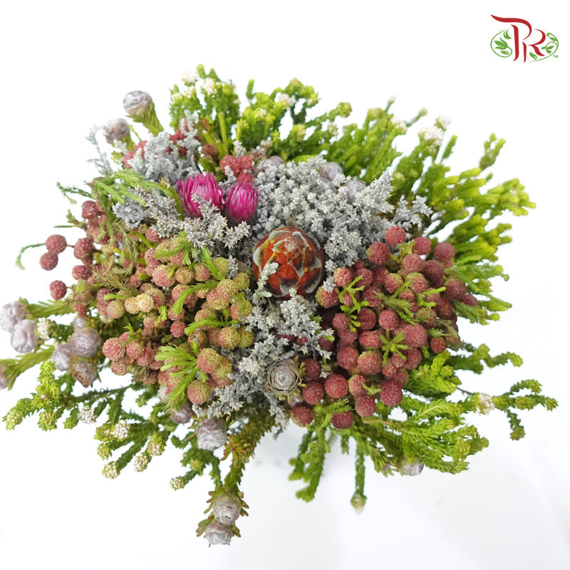 Safari Mix (Cone/Cape) - #6 (Per Bunch) **Random Choose Cone/Fillers-Pink-Africa-prflorist.com.my