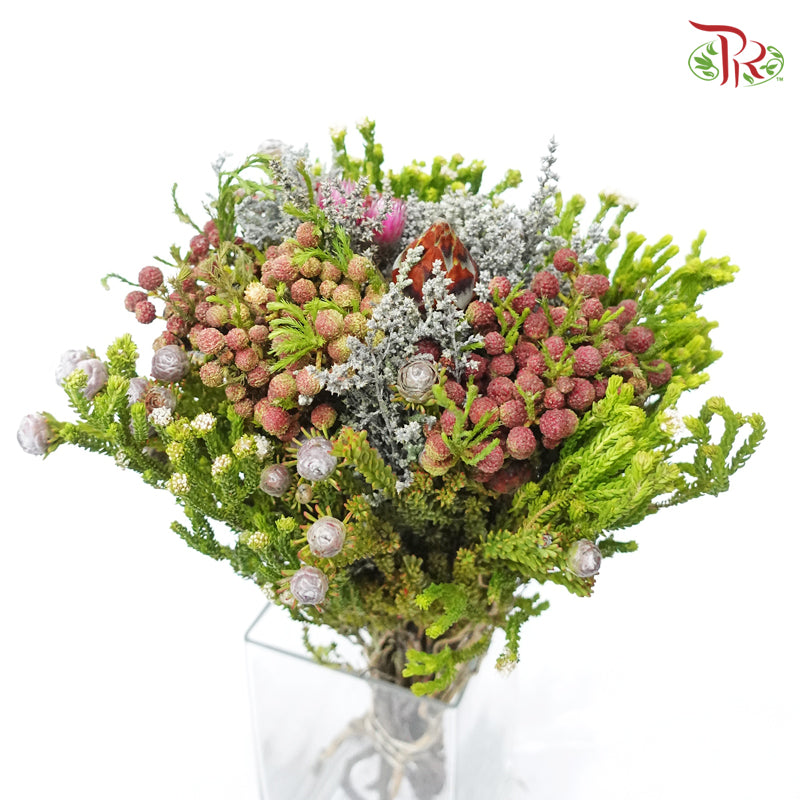 Safari Mix (Cone/Cape) - #6 (Per Bunch) **Random Choose Cone/Fillers-Pink-Africa-prflorist.com.my
