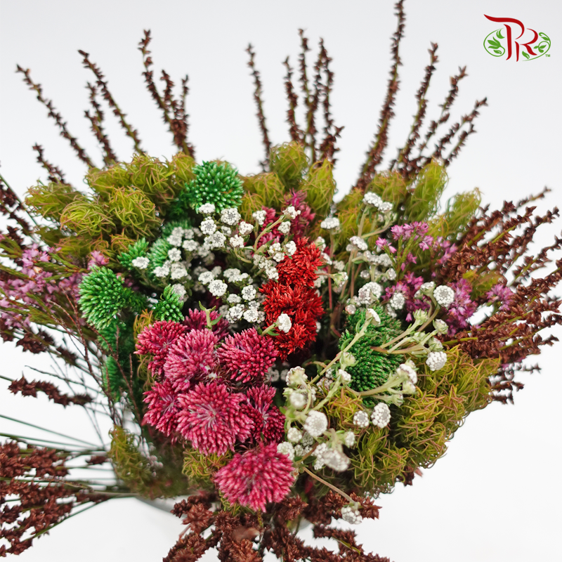 Safari Mix (Cone/Cape) - #7 (Per Bunch) **Random Choose Cone/Fillers-Green-Africa-prflorist.com.my